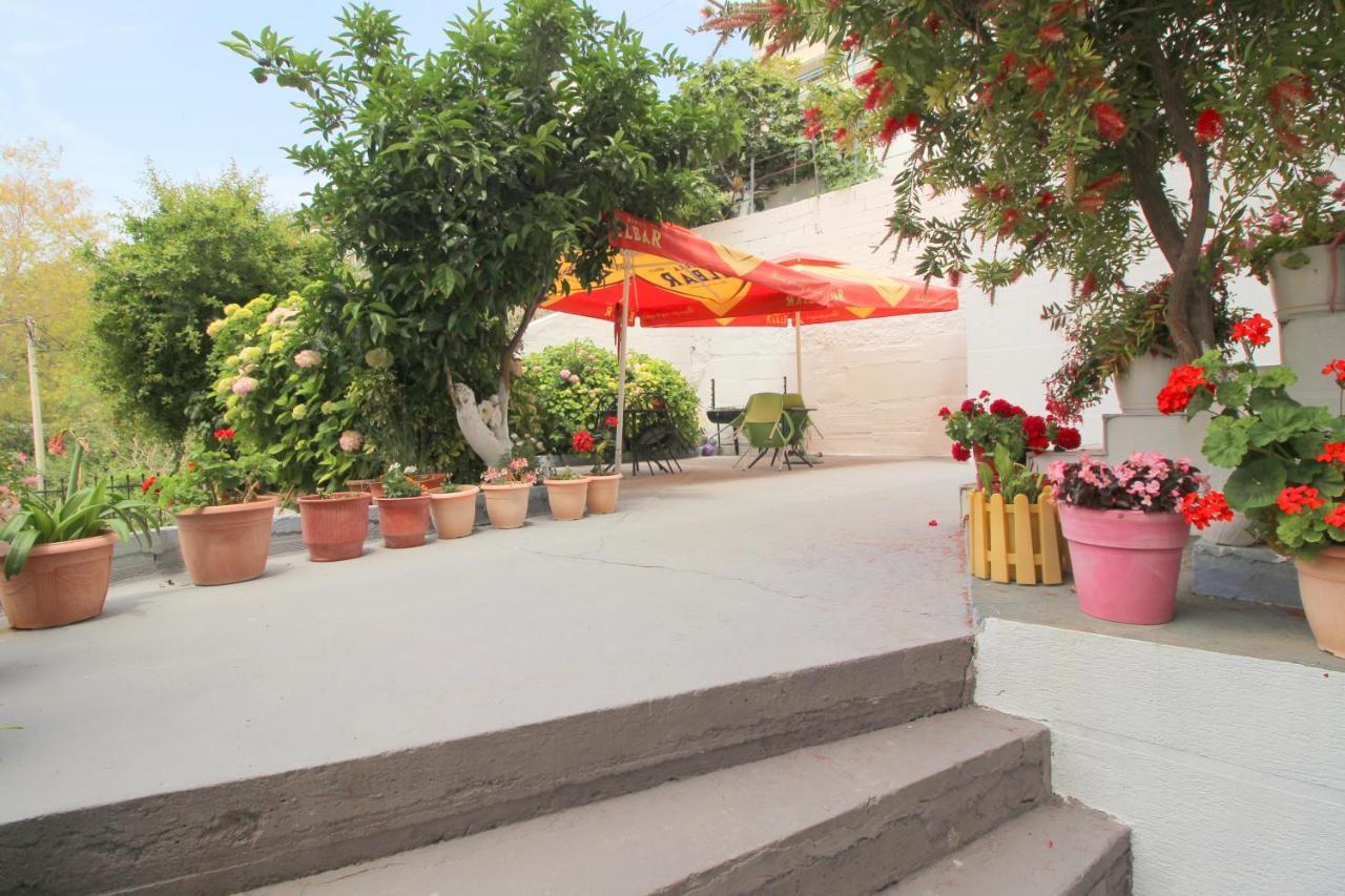 Hotel Vila Vilson ساراندا المظهر الخارجي الصورة